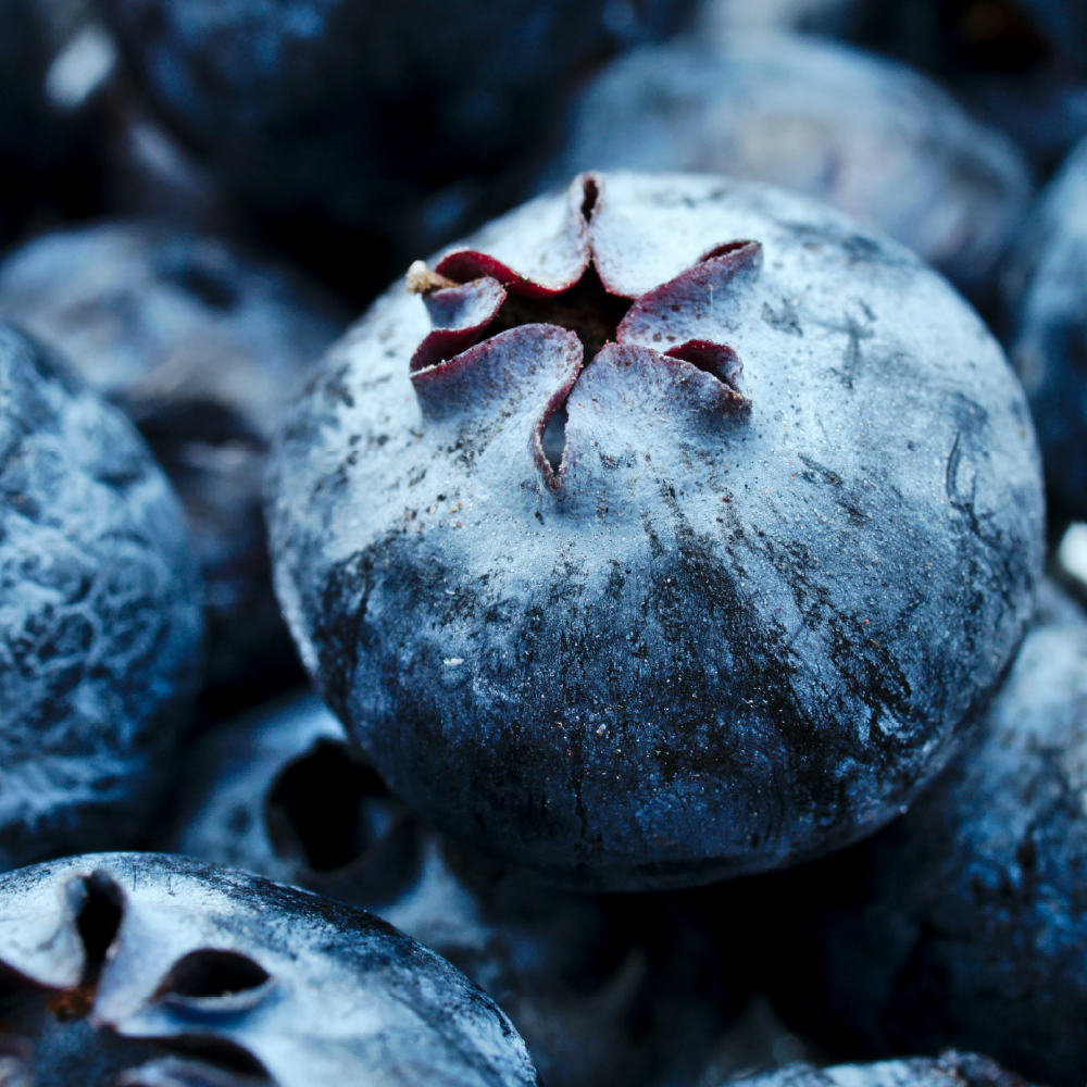 Immunity & Antioxidant Benefits