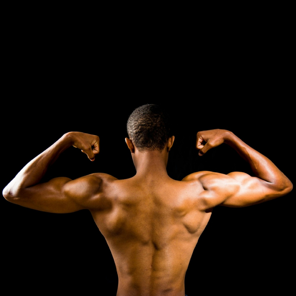 Muscle & Joint Health